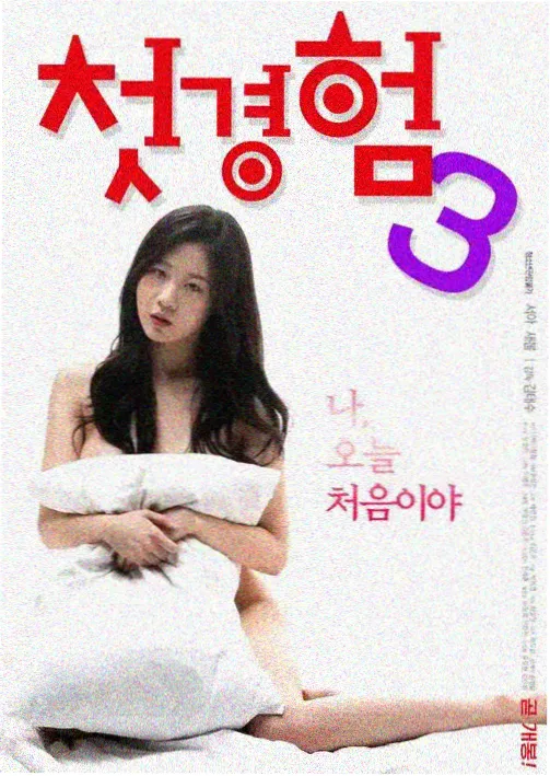 女攻小说霜刃归京封面